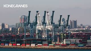 Life of a crane: teaser