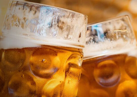 Toast with beer steins